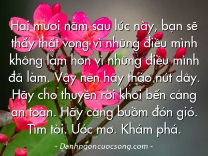 Hai mươi năm sau lúc này, bạn sẽ thấy thất vọng vì những điều mình không làm hơn vì những điều mình đã làm. Vậy nên hãy tháo nút dây. Hãy cho thuyền rời khỏi bến cảng an toàn. Hãy căng buồm đón gió. Tìm tòi. Ước mơ. Khám phá.