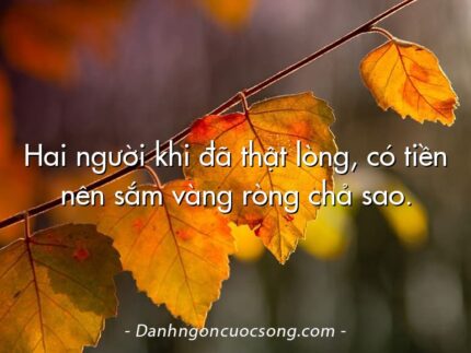 Hai người khi đã thật lòng, có tiền nên sắm vàng ròng chả sao.