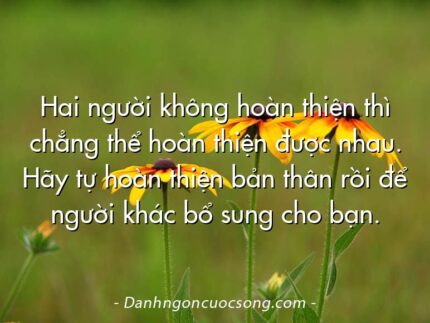 Hai người không hoàn thiện thì chẳng thể hoàn thiện được nhau. Hãy tự hoàn thiện bản thân rồi để người khác bổ sung cho bạn.