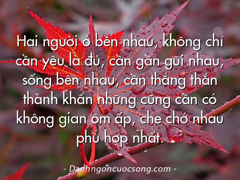 Hai người ở bên nhau, không chỉ cần yêu là đủ, cần gần gũi nhau, sống bên nhau, cần thẳng thắn thành khẩn những cũng cần có không gian ôm ấp, che chở nhau phù hợp nhất.