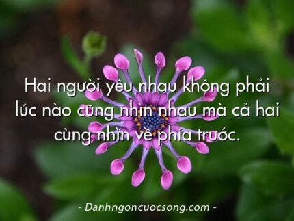 Hai người yêu nhau không phải lúc nào cũng nhìn nhau mà cả hai cùng nhìn về phía trước.