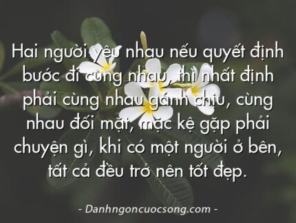 Hai người yêu nhau nếu quyết định bước đi cùng nhau, thì nhất định phải cùng nhau gánh chịu, cùng nhau đối mặt, mặc kệ gặp phải chuyện gì, khi có một người ở bên, tất cả đều trở nên tốt đẹp.