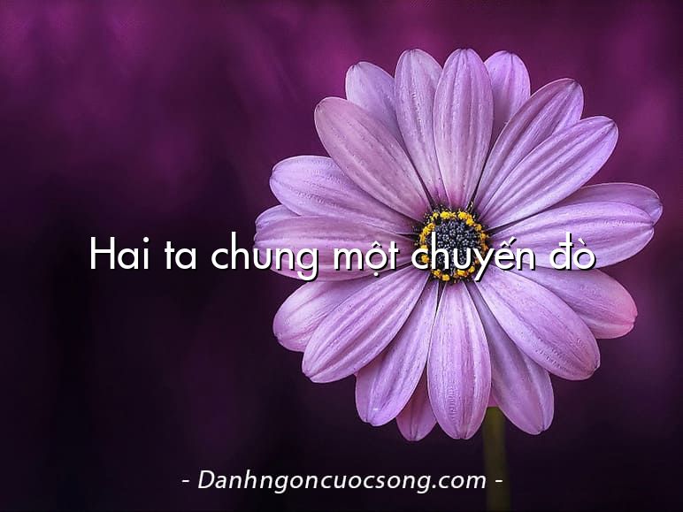 Hai ta chung một chuyến đò