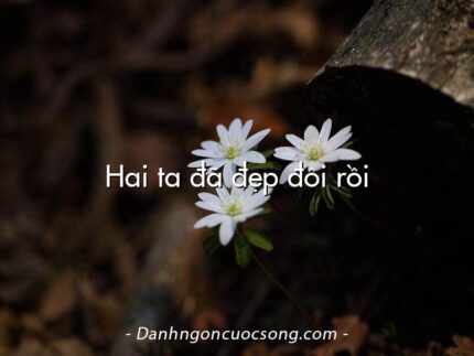 Hai ta đã đẹp đôi rồi
