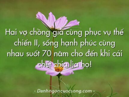 Hai vợ chồng già cùng phục vụ thế chiến II, sống hạnh phúc cùng nhau suốt 70 năm cho đến khi cái chết chia lìa họ!