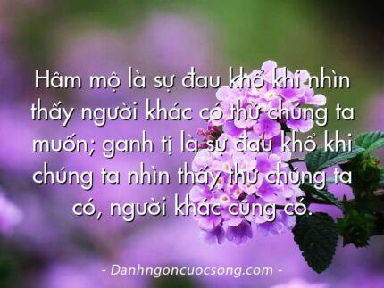 Hâm mộ là sự đau khổ khi nhìn thấy người khác có thứ chúng ta muốn; ganh tị là sự đau khổ khi chúng ta nhìn thấy thứ chúng ta có, người khác cũng có.