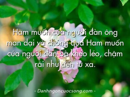 Ham muốn của người đàn ông man dại và chóng qua Ham muốn của người đàn bà khéo léo, chậm rãi như đến từ xa.