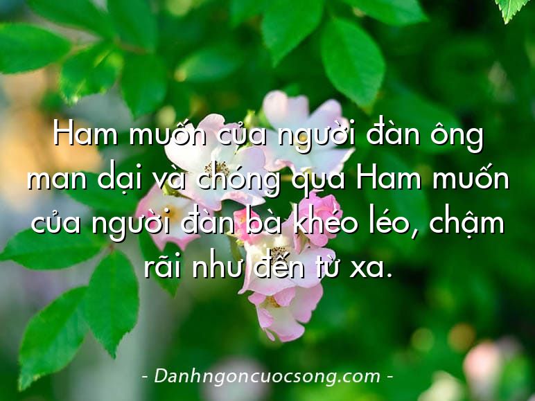 Ham muốn của người đàn ông man dại và chóng qua Ham muốn của người đàn bà khéo léo, chậm rãi như đến từ xa.
