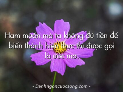 Ham muốn mà ta không đủ tiền để biến thành hiện thực thì được gọi là ước mơ.
