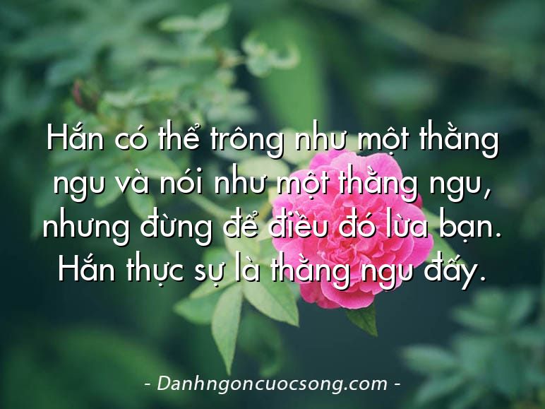 Hắn có thể trông như một thằng ngu và nói như một thằng ngu, nhưng đừng để điều đó lừa bạn. Hắn thực sự là thằng ngu đấy.