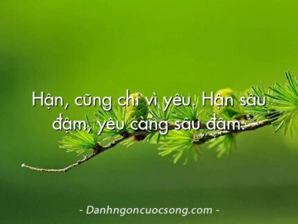 Hận, cũng chỉ vì yêu. Hận sâu đậm, yêu càng sâu đậm.