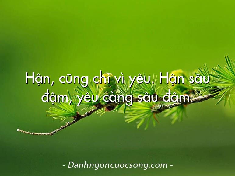 Hận, cũng chỉ vì yêu. Hận sâu đậm, yêu càng sâu đậm.