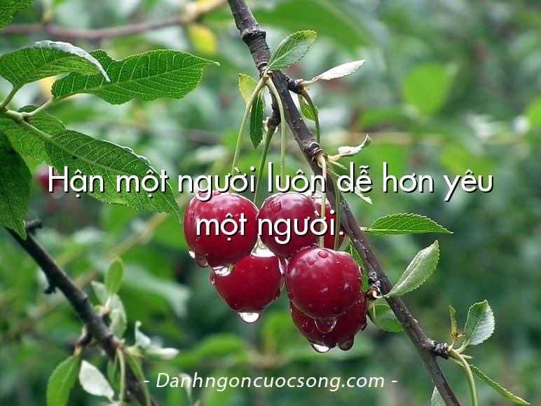 Hận một người luôn dễ hơn yêu một người.