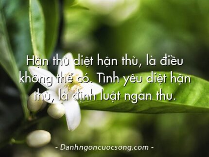 Hận thù diệt hận thù, là điều không thể có. Tình yêu diệt hận thù, là định luật ngàn thu.