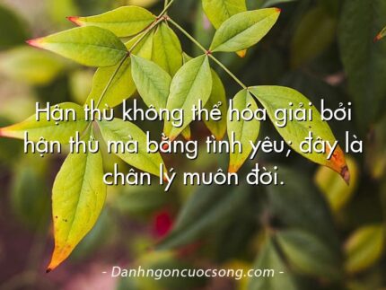 Hận thù không thể hóa giải bởi hận thù mà bằng tình yêu; đây là chân lý muôn đời.