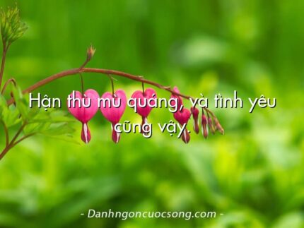 Hận thù mù quáng, và tình yêu cũng vậy.