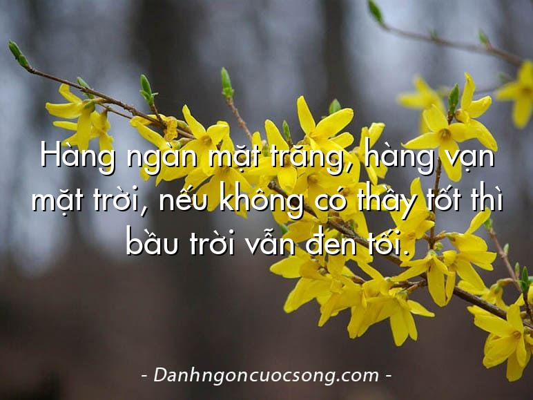 Hàng ngàn mặt trăng, hàng vạn mặt trời, nếu không có thầy tốt thì bầu trời vẫn đen tối.