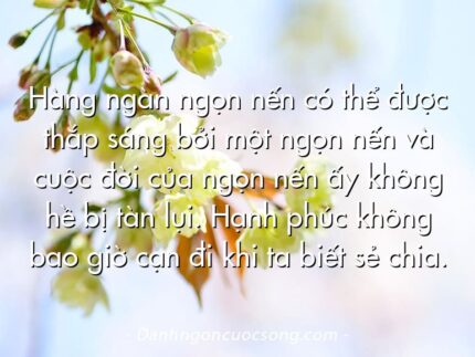 Hàng ngàn ngọn nến có thể được thắp sáng bởi một ngọn nến và cuộc đời của ngọn nến ấy không hề bị tàn lụi. Hạnh phúc không bao giờ cạn đi khi ta biết sẻ chia.
