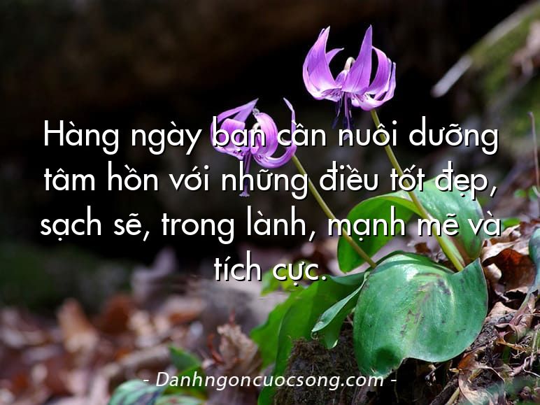 Hàng ngày bạn cần nuôi dưỡng tâm hồn với những điều tốt đẹp, sạch sẽ, trong lành, mạnh mẽ và tích cực.
