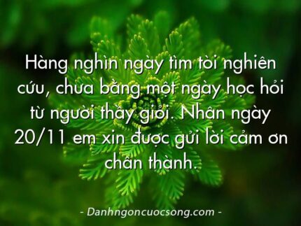 Hàng nghìn ngày tìm tòi nghiên cứu, chưa bằng một ngày học hỏi từ người thầy giỏi. Nhân ngày 20/11 em xin được gửi lời cảm ơn chân thành.