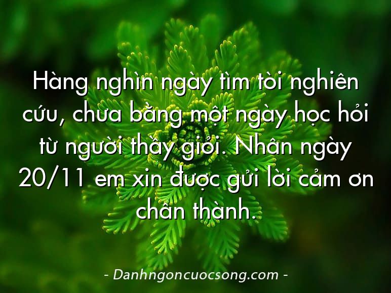 Hàng nghìn ngày tìm tòi nghiên cứu, chưa bằng một ngày học hỏi từ người thầy giỏi. Nhân ngày 20/11 em xin được gửi lời cảm ơn chân thành.