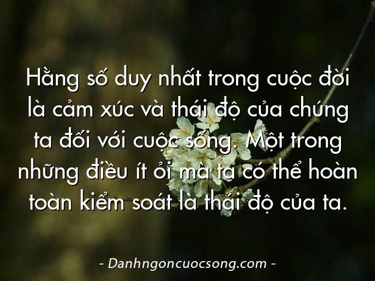 Hằng số duy nhất trong cuộc đời là cảm xúc và thái độ của chúng ta đối với cuộc sống. Một trong những điều ít ỏi mà ta có thể hoàn toàn kiểm soát là thái độ của ta.