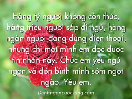 Hàng tỷ người không còn thức, hàng triệu người sắp đi ngủ, hàng ngàn người đang dùng điện thoại, nhưng chỉ một mình em đọc được tin nhắn này. Chúc em yêu ngủ ngon và đón bình minh sớm ngọt ngào. Yêu em.