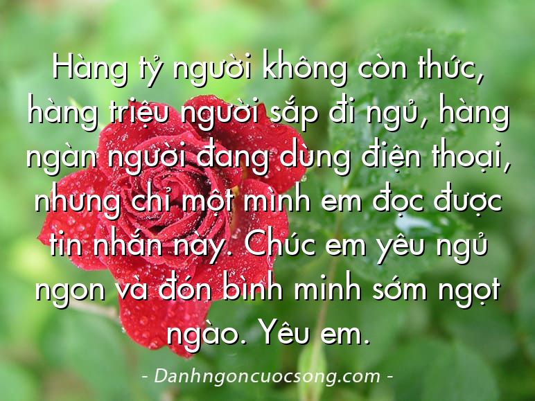 Hàng tỷ người không còn thức, hàng triệu người sắp đi ngủ, hàng ngàn người đang dùng điện thoại, nhưng chỉ một mình em đọc được tin nhắn này. Chúc em yêu ngủ ngon và đón bình minh sớm ngọt ngào. Yêu em.