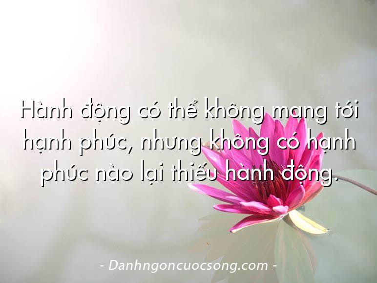 Hành động có thể không mang tới hạnh phúc, nhưng không có hạnh phúc nào lại thiếu hành động.