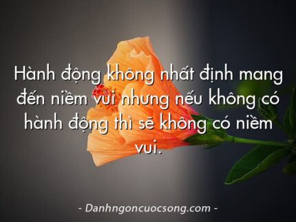 Hành động không nhất định mang đến niềm vui nhưng nếu không có hành động thì sẽ không có niềm vui.