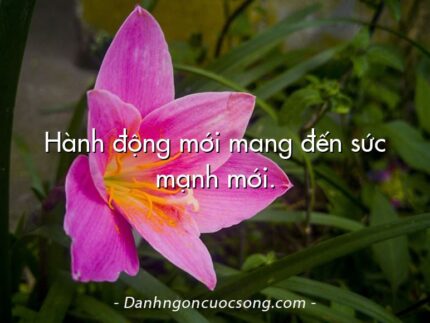 Hành động mới mang đến sức mạnh mới.