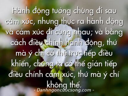 Hành động tưởng chừng đi sau cảm xúc, nhưng thực ra hành động và cảm xúc đi cùng nhau; và bằng cách điều chỉnh hành động, thứ mà ý chí có thể trực tiếp điều khiển, chúng ta có thể gián tiếp điều chỉnh cảm xúc, thứ mà ý chí không thể.