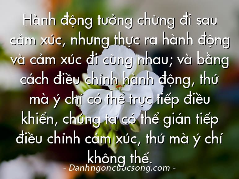 Hành động tưởng chừng đi sau cảm xúc, nhưng thực ra hành động và cảm xúc đi cùng nhau; và bằng cách điều chỉnh hành động, thứ mà ý chí có thể trực tiếp điều khiển, chúng ta có thể gián tiếp điều chỉnh cảm xúc, thứ mà ý chí không thể.