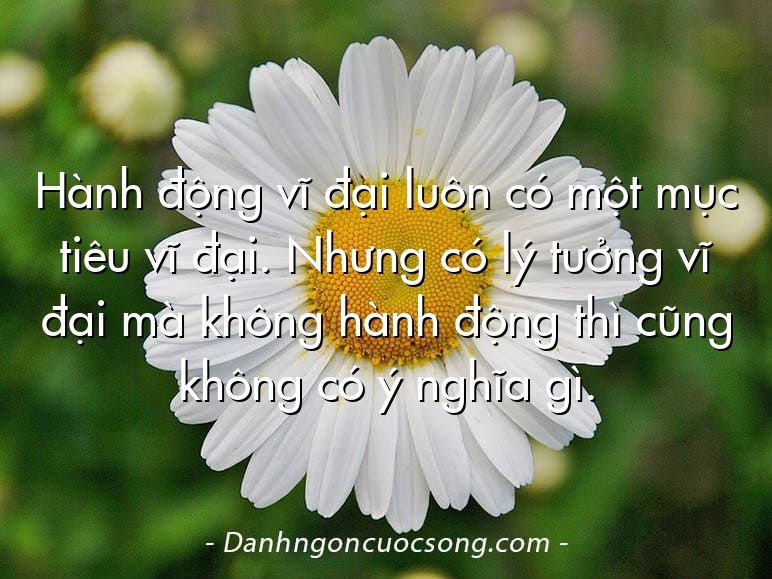 Hành động vĩ đại luôn có một mục tiêu vĩ đại. Nhưng có lý tưởng vĩ đại mà không hành động thì cũng không có ý nghĩa gì.