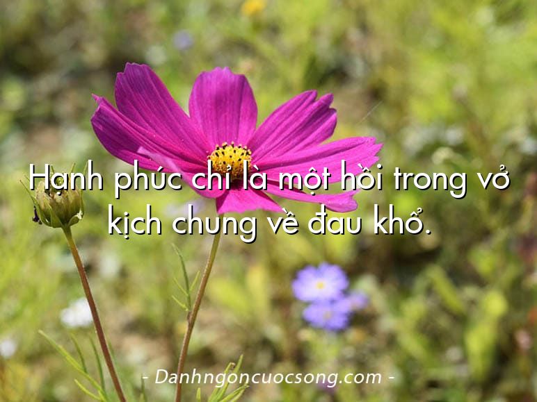 Hạnh phúc chỉ là một hồi trong vở kịch chung về đau khổ.