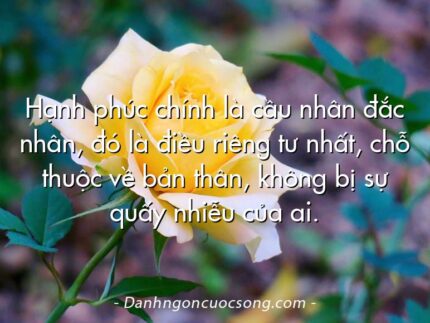 Hạnh phúc chính là cầu nhân đắc nhân, đó là điều riêng tư nhất, chỗ thuộc về bản thân, không bị sự quấy nhiễu của ai.