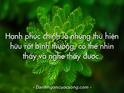 Hạnh phúc chính là những thứ hiện hữu rất bình thường, có thể nhìn thấy và nghe thấy được.