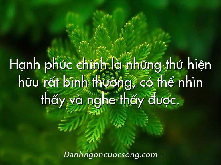 Hạnh phúc chính là những thứ hiện hữu rất bình thường, có thể nhìn thấy và nghe thấy được.