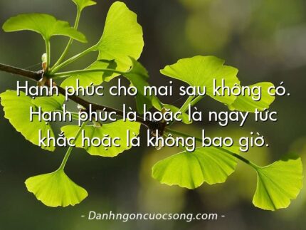 Hạnh phúc cho mai sau không có. Hạnh phúc là hoặc là ngay tức khắc hoặc là không bao giờ.
