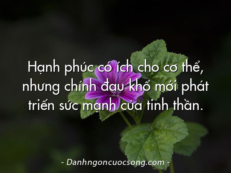 Hạnh phúc có ích cho cơ thể, nhưng chính đau khổ mới phát triến sức mạnh của tinh thần.