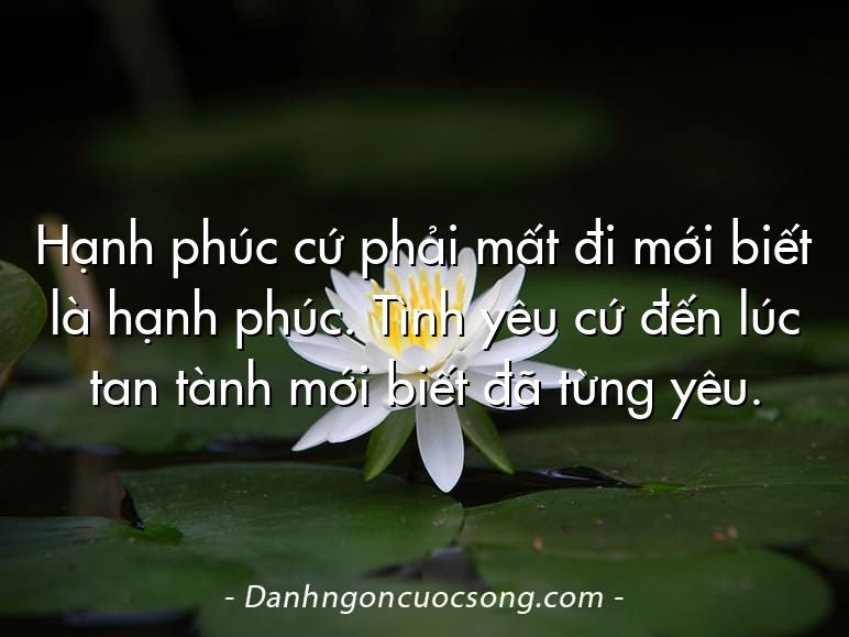 Hạnh phúc cứ phải mất đi mới biết là hạnh phúc. Tình yêu cứ đến lúc tan tành mới biết đã từng yêu.