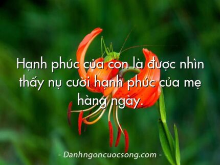 Hạnh phúc của con là được nhìn thấy nụ cười hạnh phúc của mẹ hàng ngày.