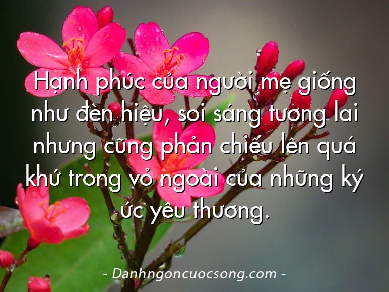 Hạnh phúc của người mẹ giống như đèn hiệu, soi sáng tương lai nhưng cũng phản chiếu lên quá khứ trong vỏ ngoài của những ký ức yêu thương.