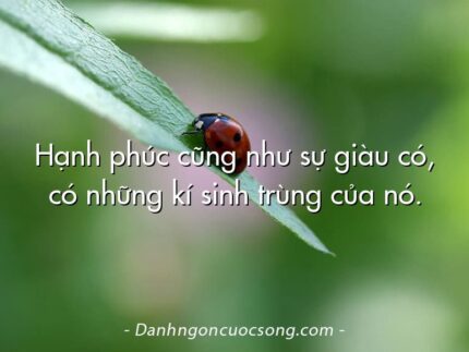 Hạnh phúc cũng như sự giàu có, có những kí sinh trùng của nó.