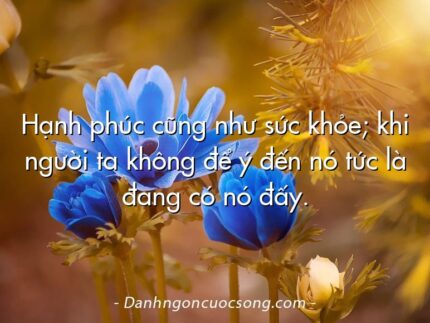Hạnh phúc cũng như sức khỏe; khi người ta không để ý đến nó tức là đang có nó đấy.