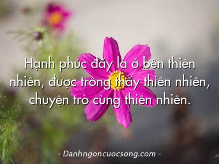 Hạnh phúc đấy là ở bên thiên nhiên, được trông thấy thiên nhiên, chuyện trò cùng thiên nhiên.