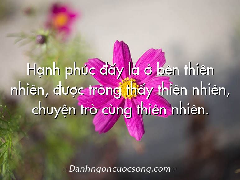 Hạnh phúc đấy là ở bên thiên nhiên, được trông thấy thiên nhiên, chuyện trò cùng thiên nhiên.