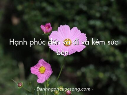 Hạnh phúc đến và đi và kém sức bền.