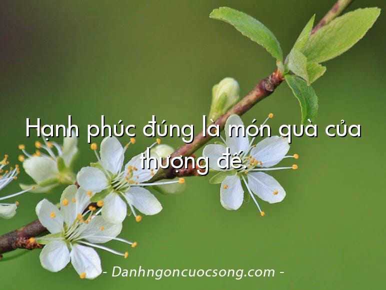 Hạnh phúc đúng là món quà của thượng đế.