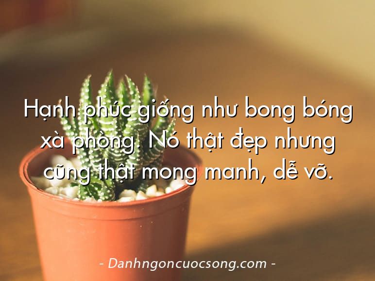 Hạnh phúc giống như bong bóng xà phòng. Nó thật đẹp nhưng cũng thật mong manh, dễ vỡ.
